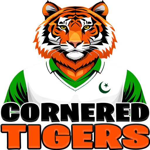 Cornered Tigers